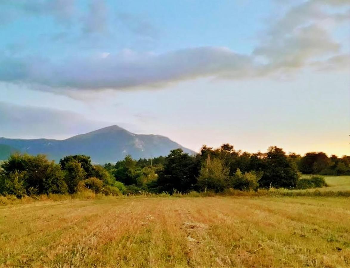 Villa Saturea Boljevac Εξωτερικό φωτογραφία