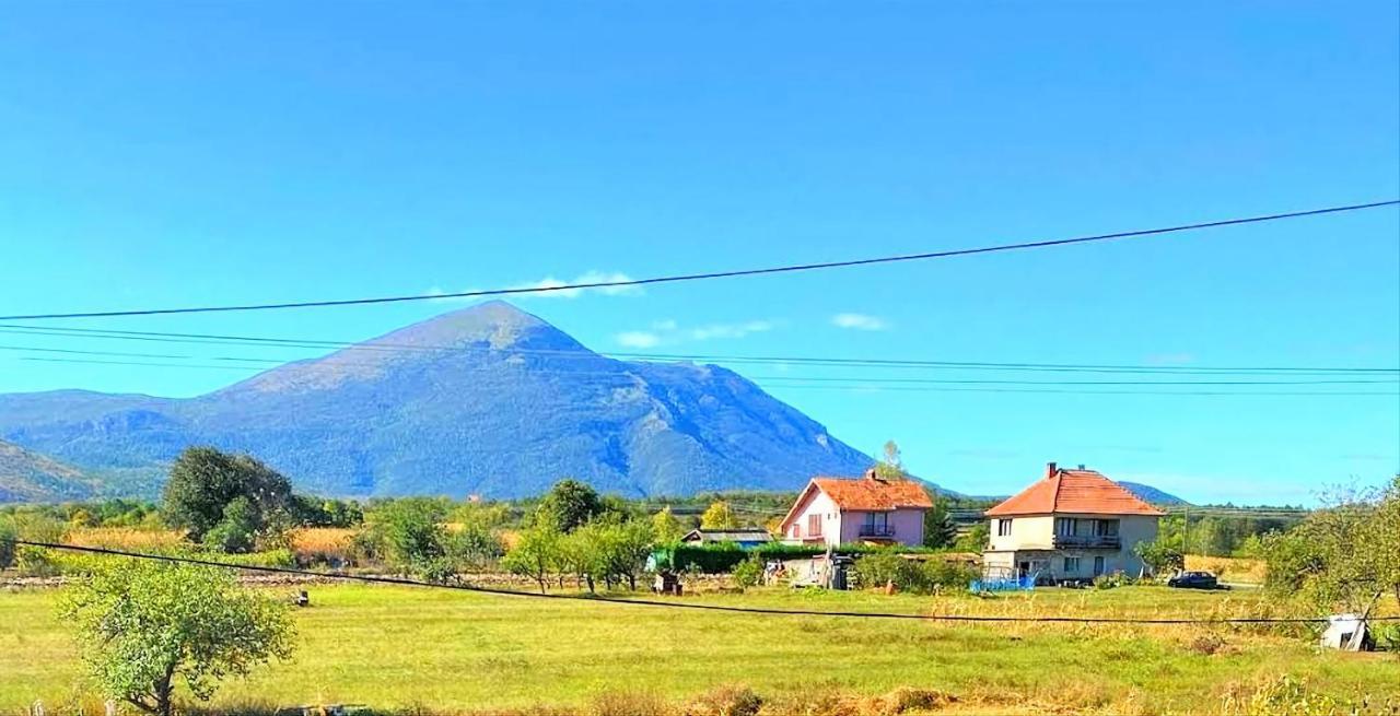Villa Saturea Boljevac Εξωτερικό φωτογραφία